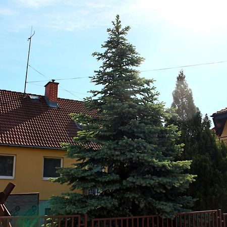 Hotel Dom Studia Petra Štúrovo Zewnętrze zdjęcie